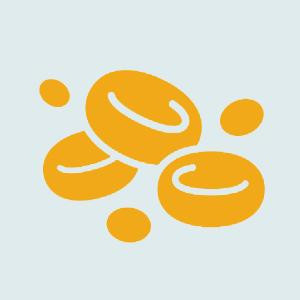 الطب الداخلي